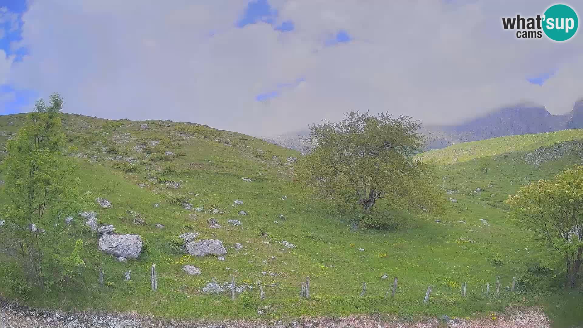 Cámara en Vivo de Planina Kuhinja – KRN – Kobarid – Eslovenia