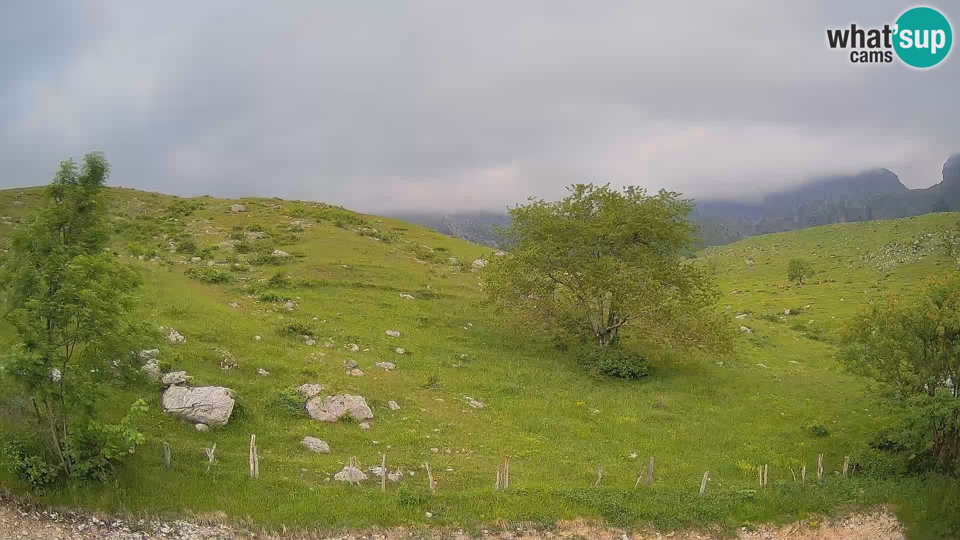 Webcam Krn – Planina Kuhinja ( Plateau Kuhinja ) – Kobarid – Slovenia