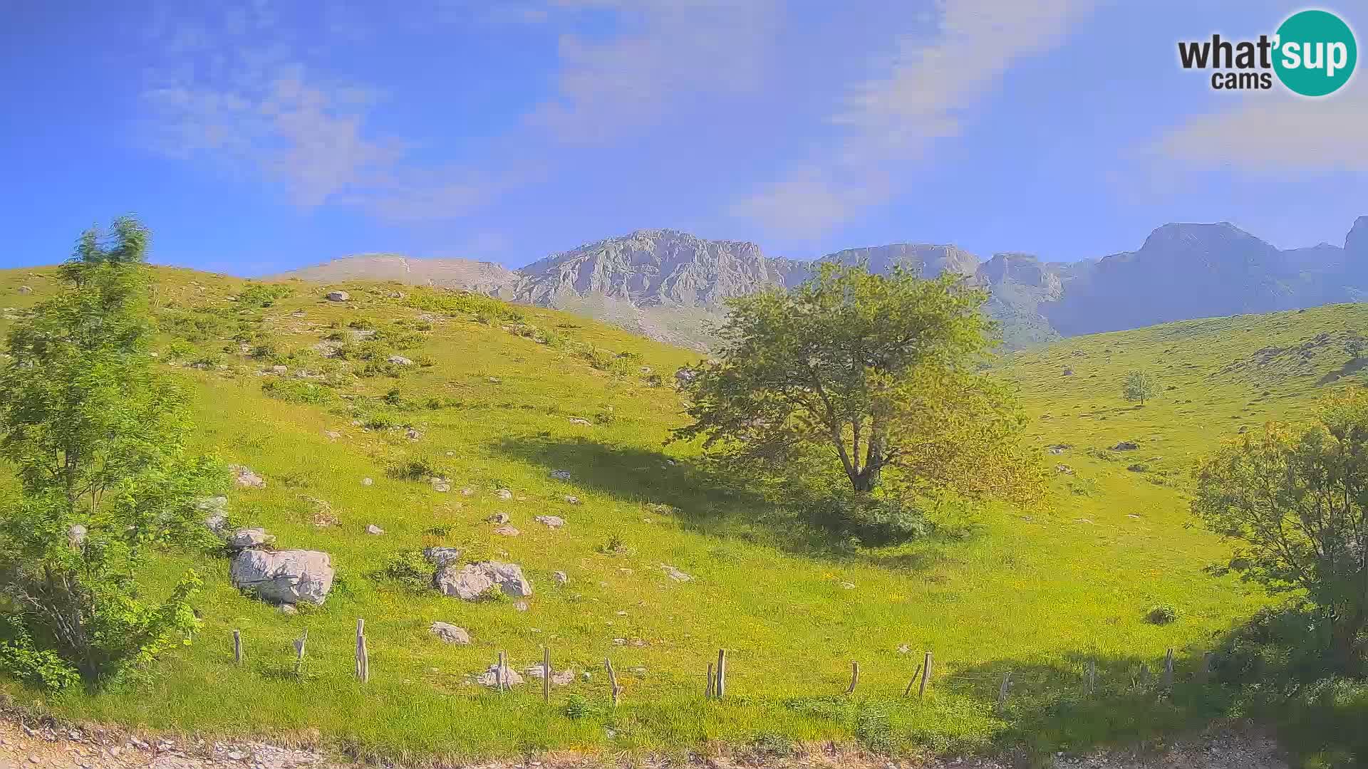 Webcam Krn – Planina Kuhinja ( Plateau Kuhinja ) – Kobarid – Slovenia