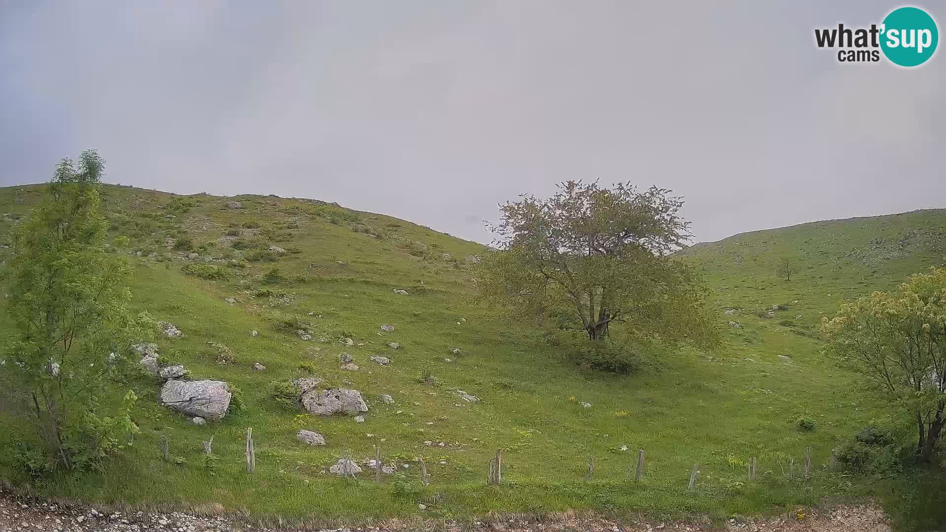Cámara en Vivo de Planina Kuhinja – KRN – Kobarid – Eslovenia