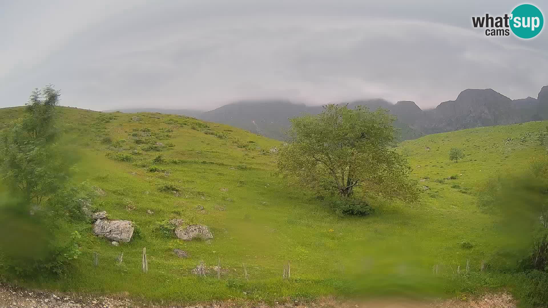 Spletna kamera Planina Kuhinja – KRN – Kobarid
