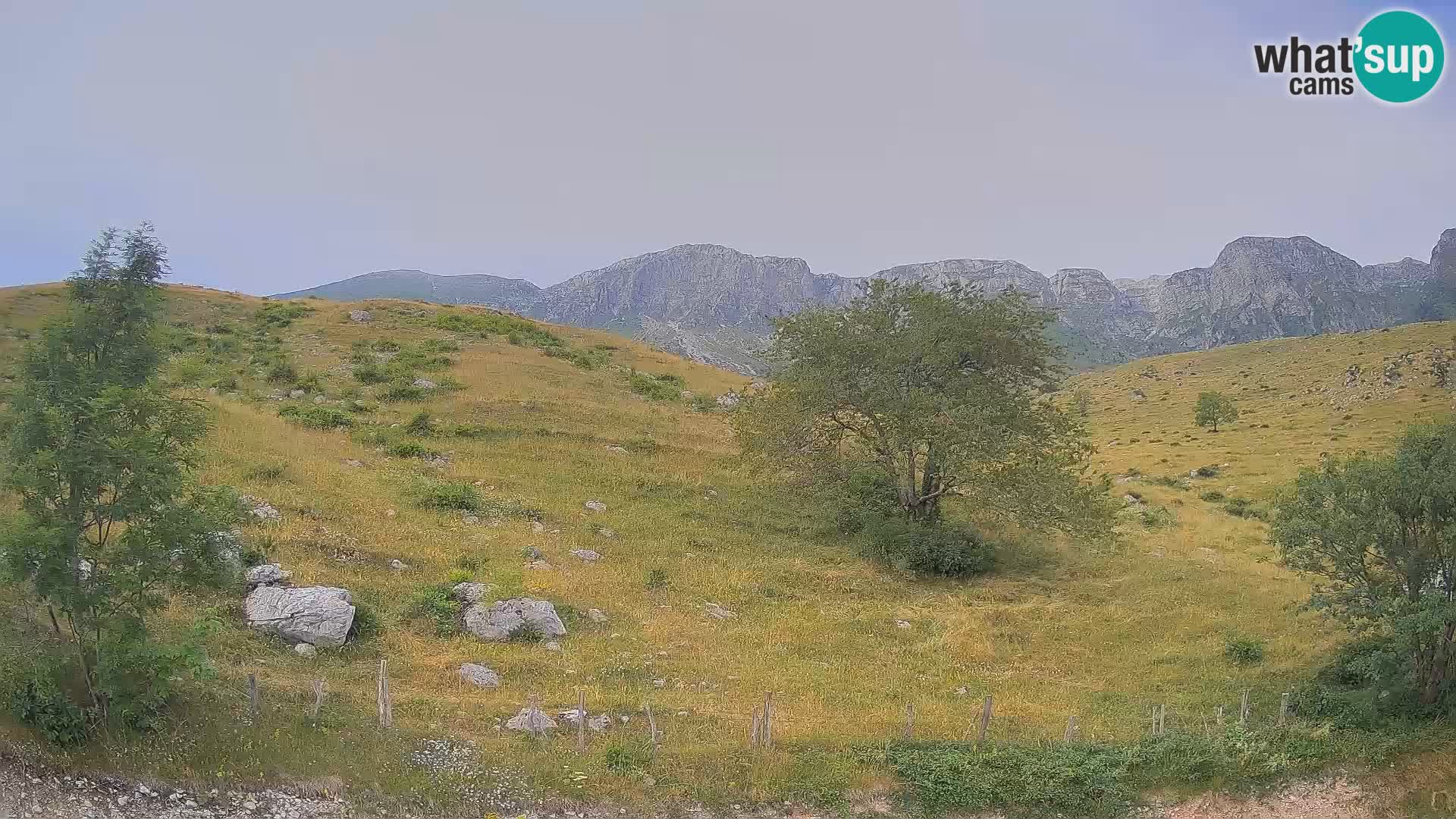 Cámara en Vivo de Planina Kuhinja – KRN – Kobarid – Eslovenia