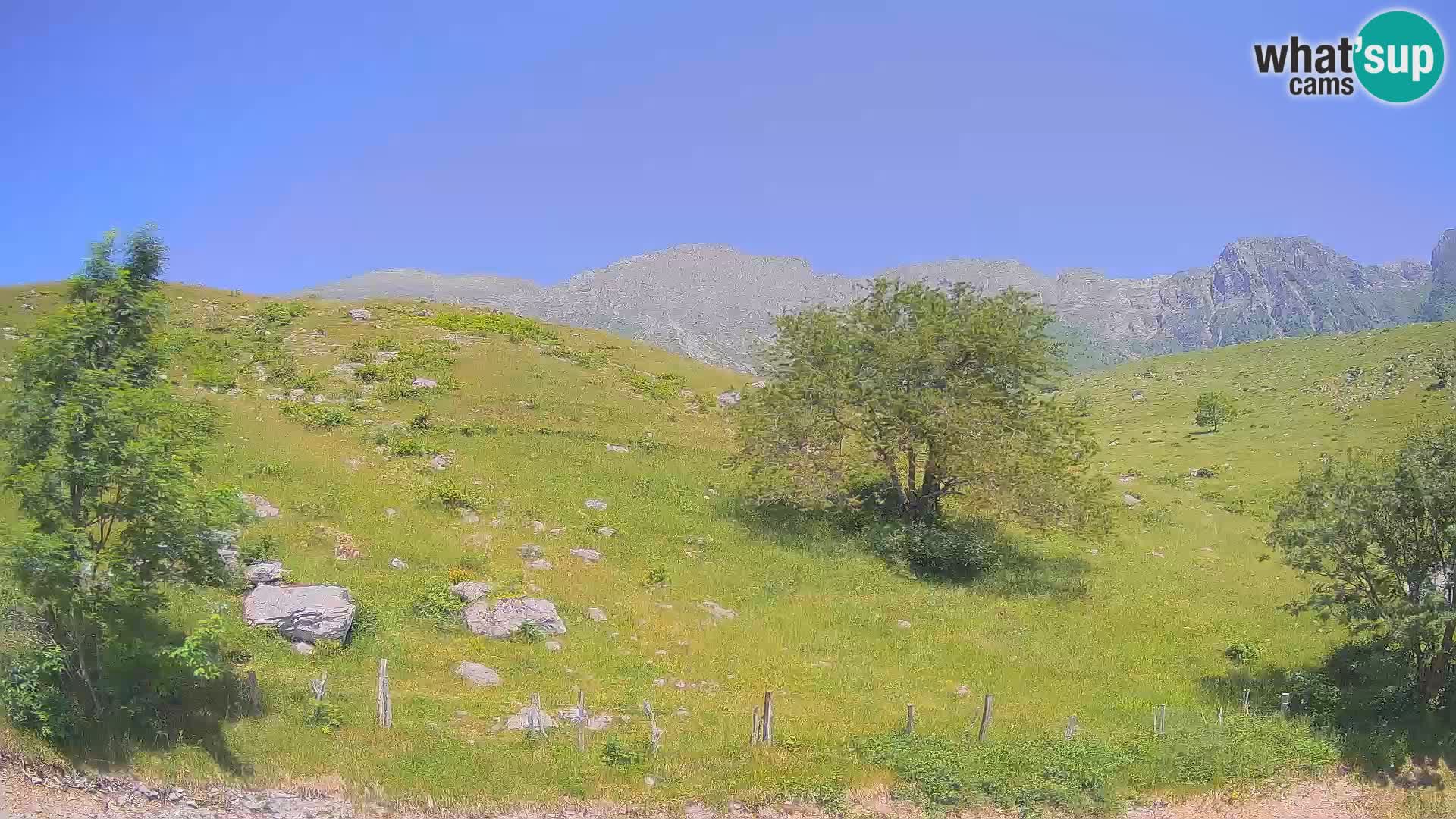 Webcam Krn – Planina Kuhinja ( Plateau Kuhinja ) – Kobarid – Slovenia