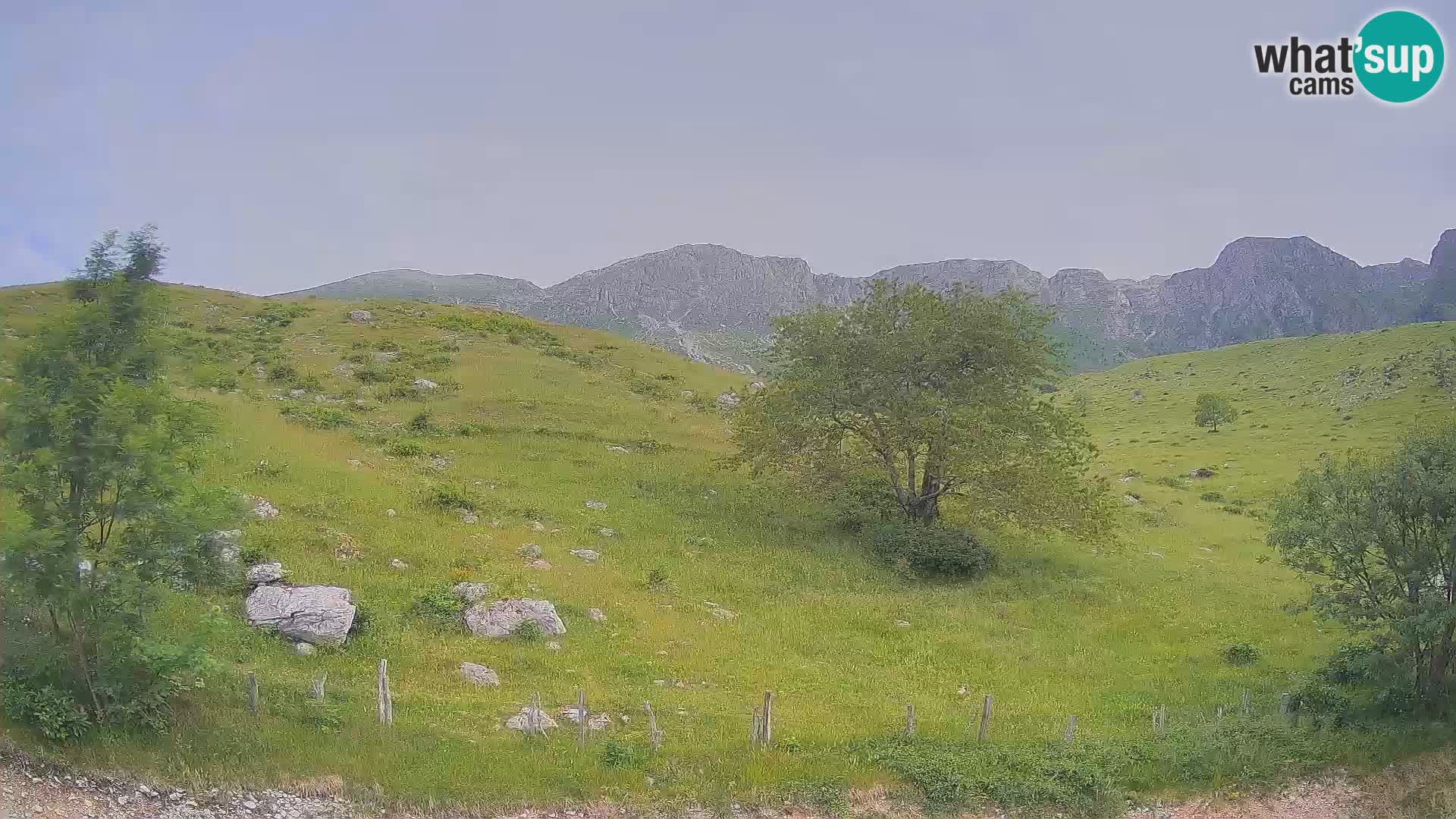 Webcam Krn – Planina Kuhinja ( Plateau Kuhinja ) – Kobarid – Slovenia