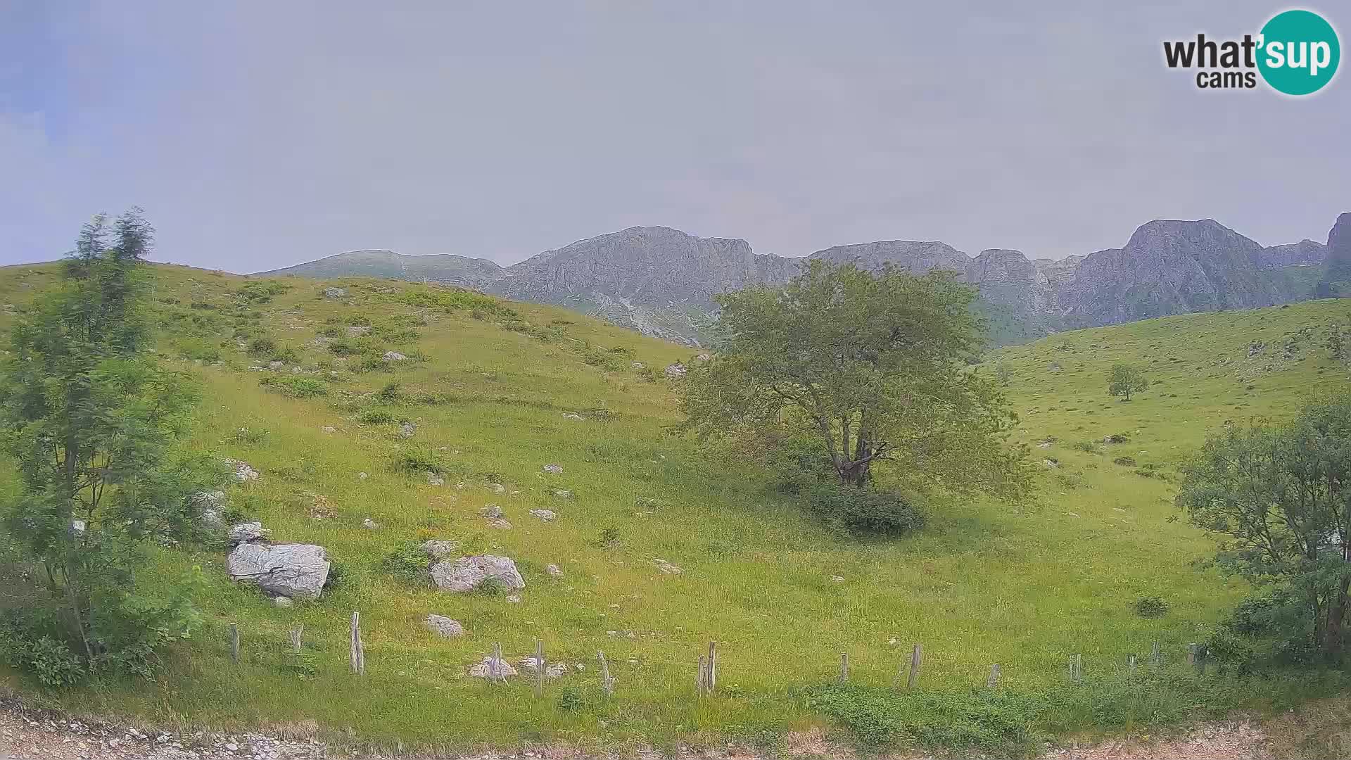 Live cam Planina Kuhinja – Monte Nero ( Krn ) – Caporetto – Slovenia