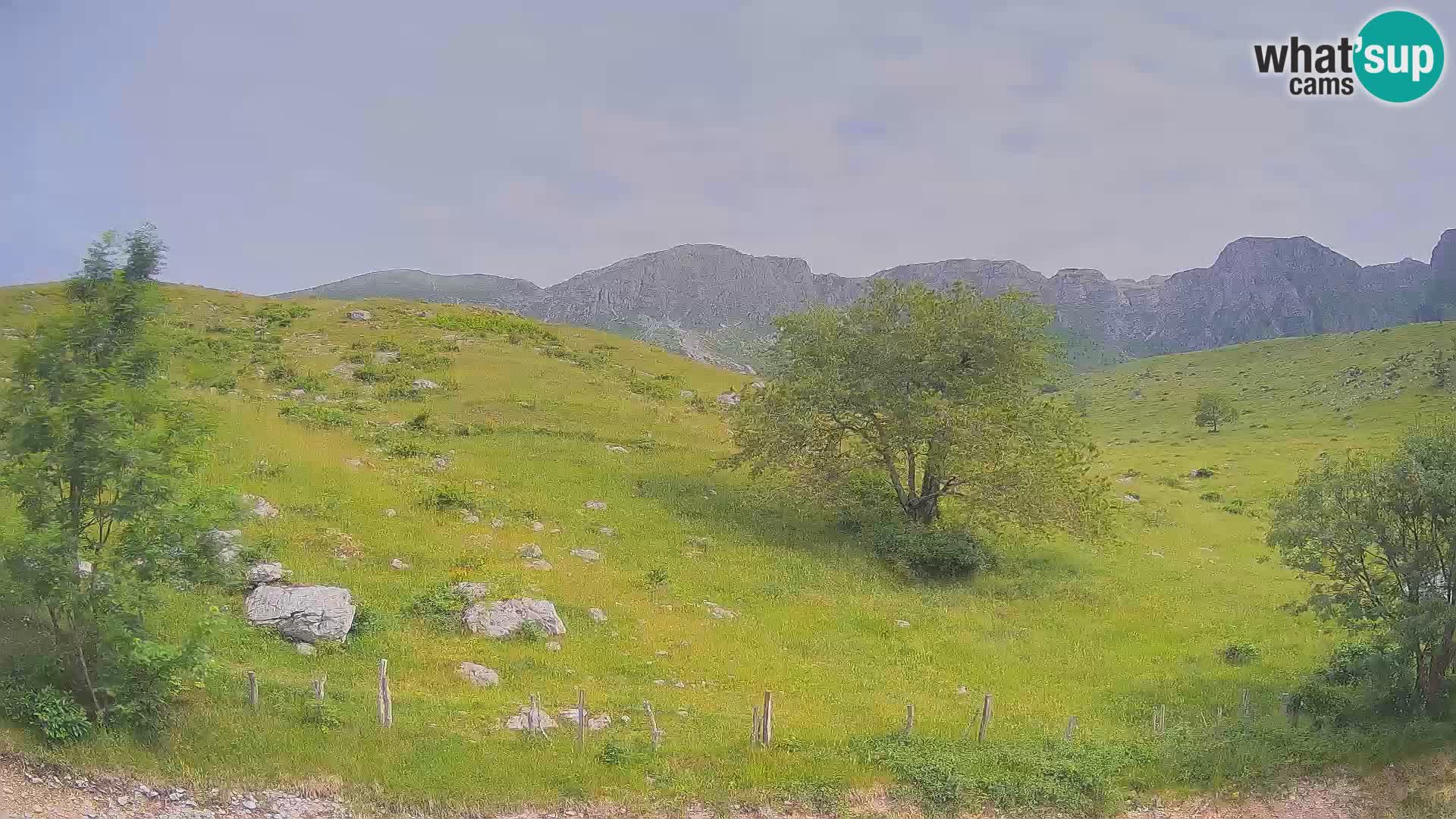 Spletna kamera Planina Kuhinja – KRN – Kobarid