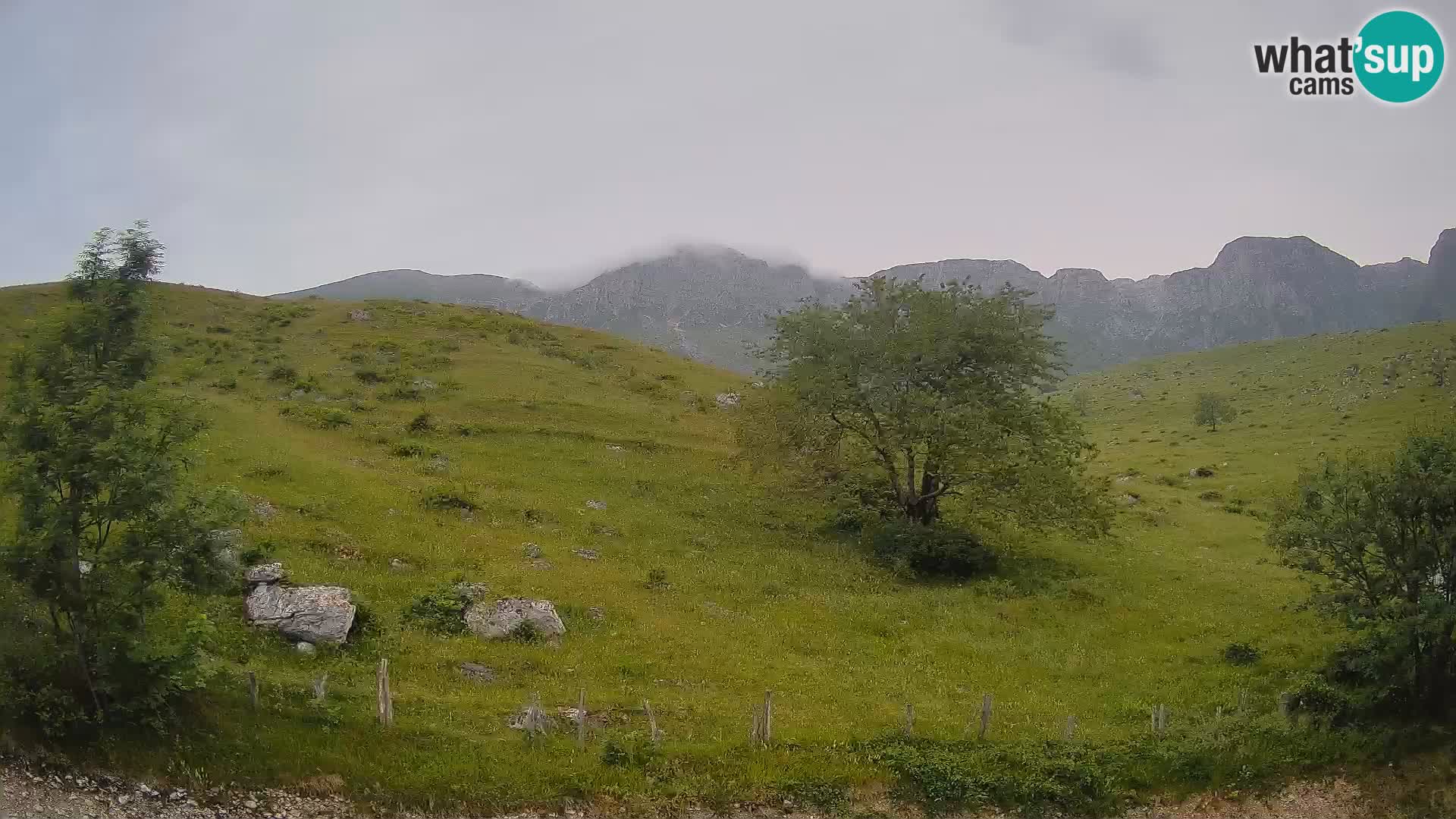Spletna kamera Planina Kuhinja – KRN – Kobarid