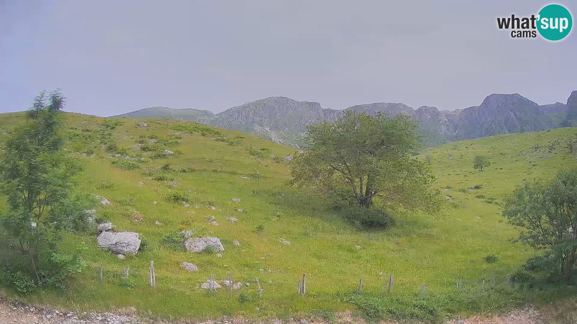 Webcam Planina Kuhinja – KRN – Kobarid – Slowenien