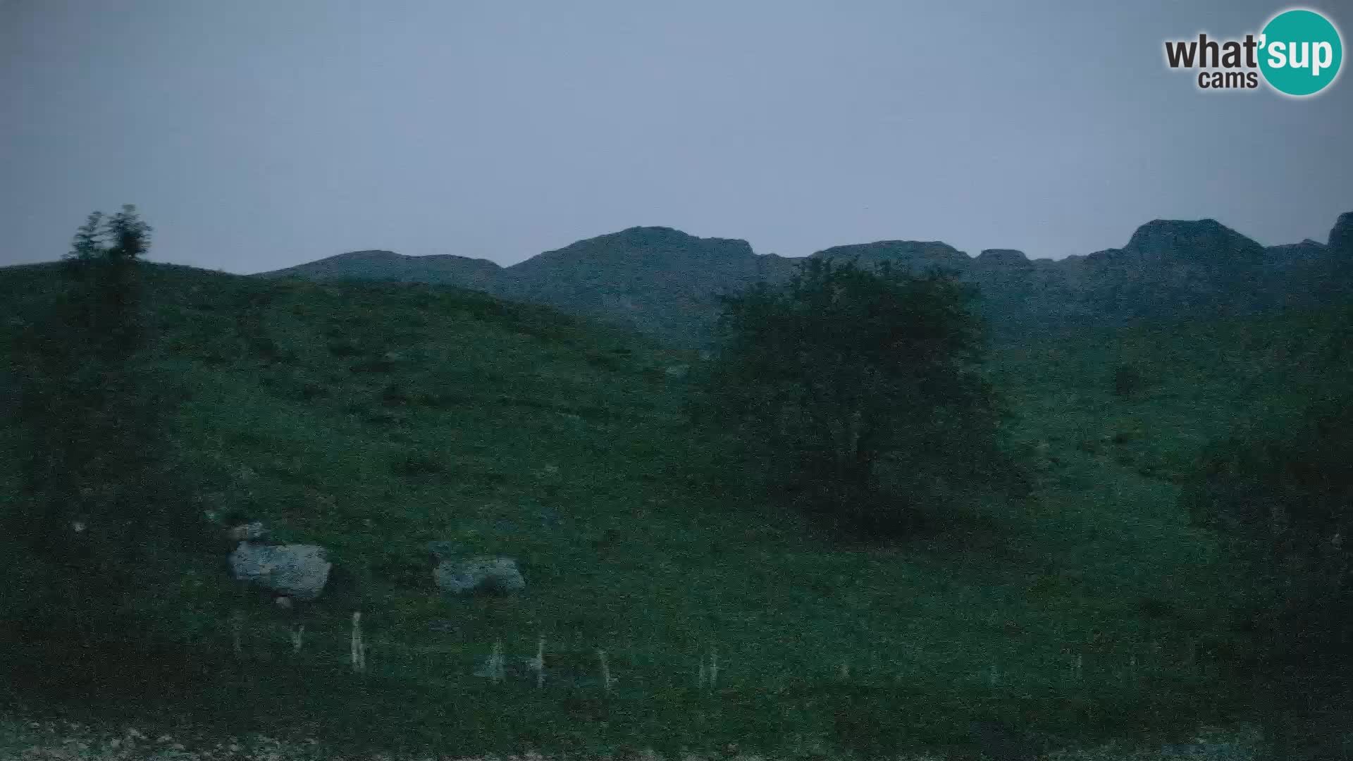 Spletna kamera Planina Kuhinja – KRN – Kobarid