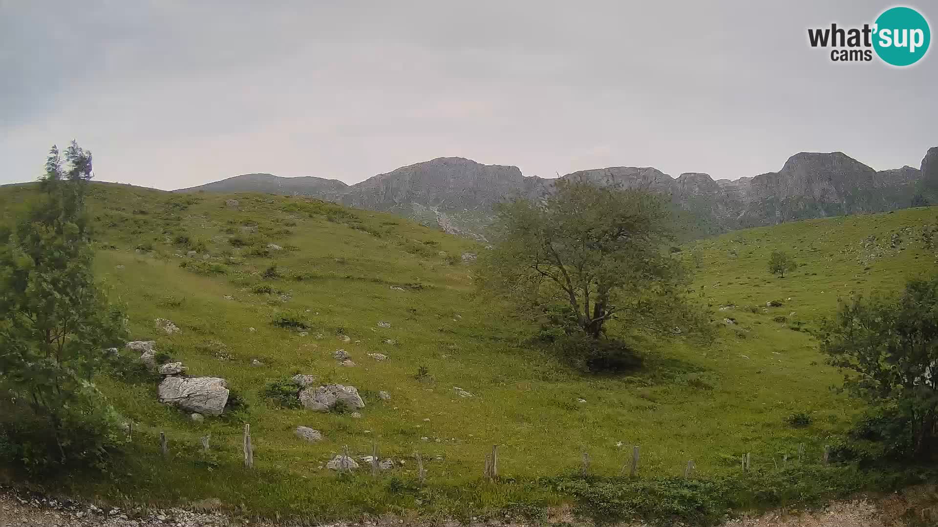 Spletna kamera Planina Kuhinja – KRN – Kobarid