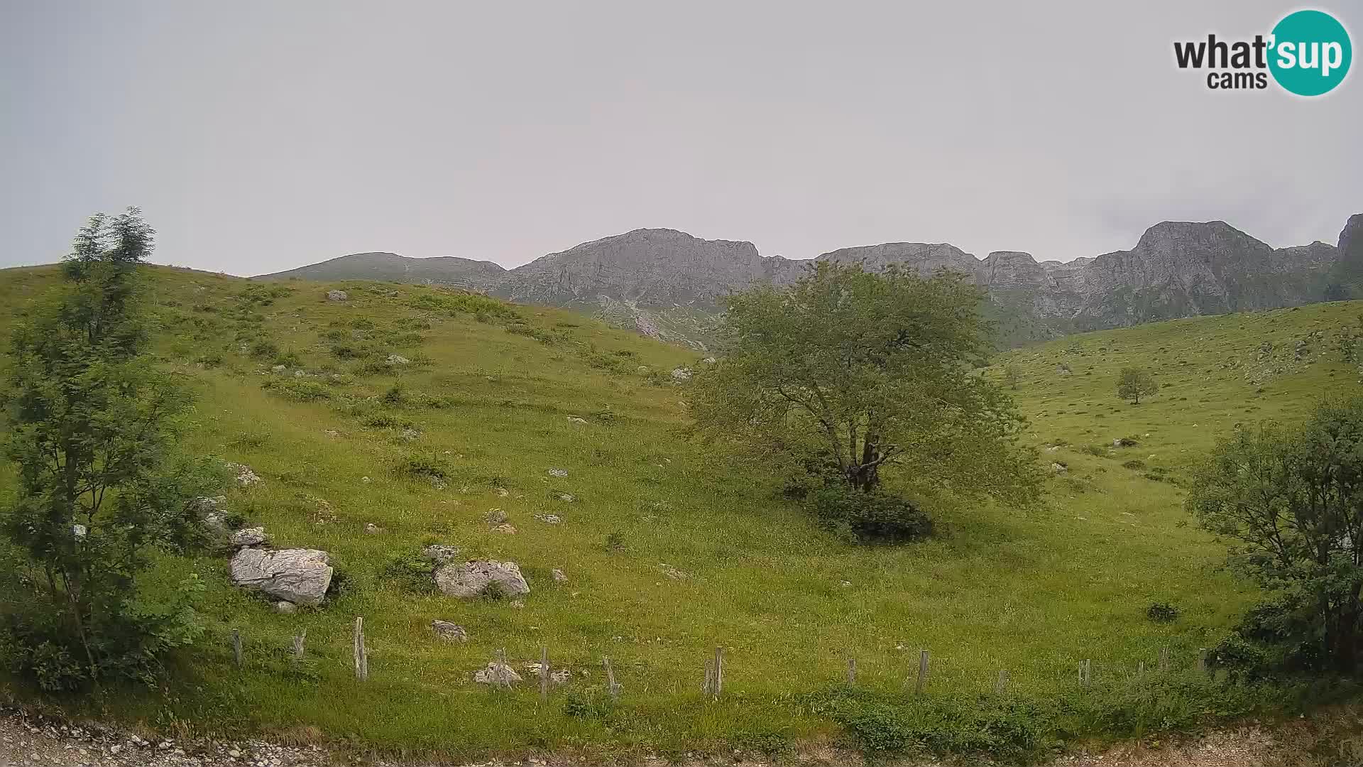 Live cam Planina Kuhinja – Monte Nero ( Krn ) – Caporetto – Slovenia