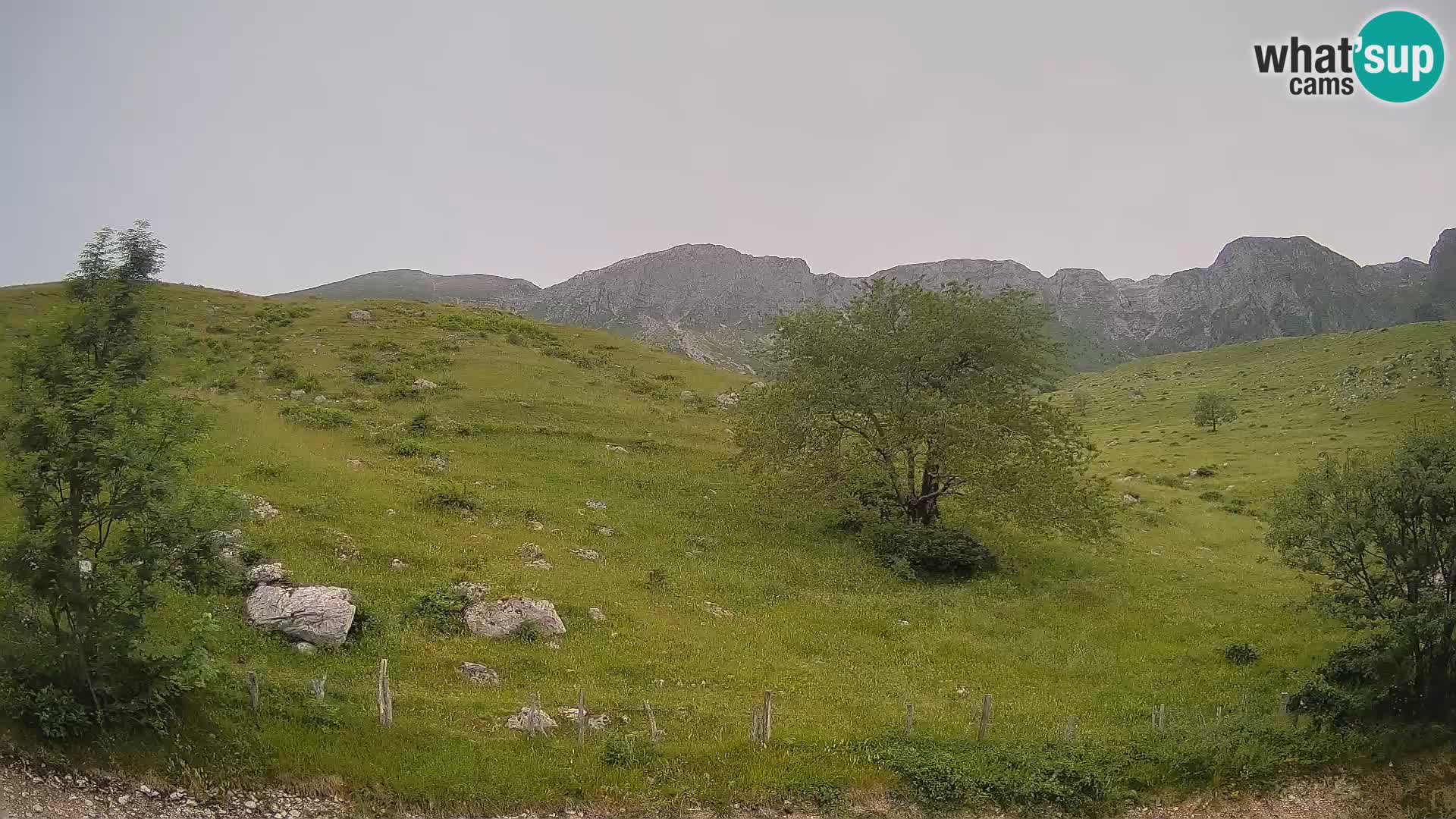 Live cam Planina Kuhinja – Monte Nero ( Krn ) – Caporetto – Slovenia