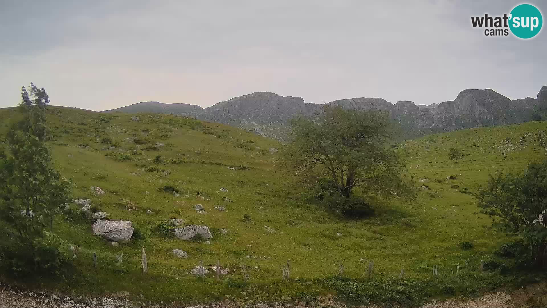 Cámara en Vivo de Planina Kuhinja – KRN – Kobarid – Eslovenia