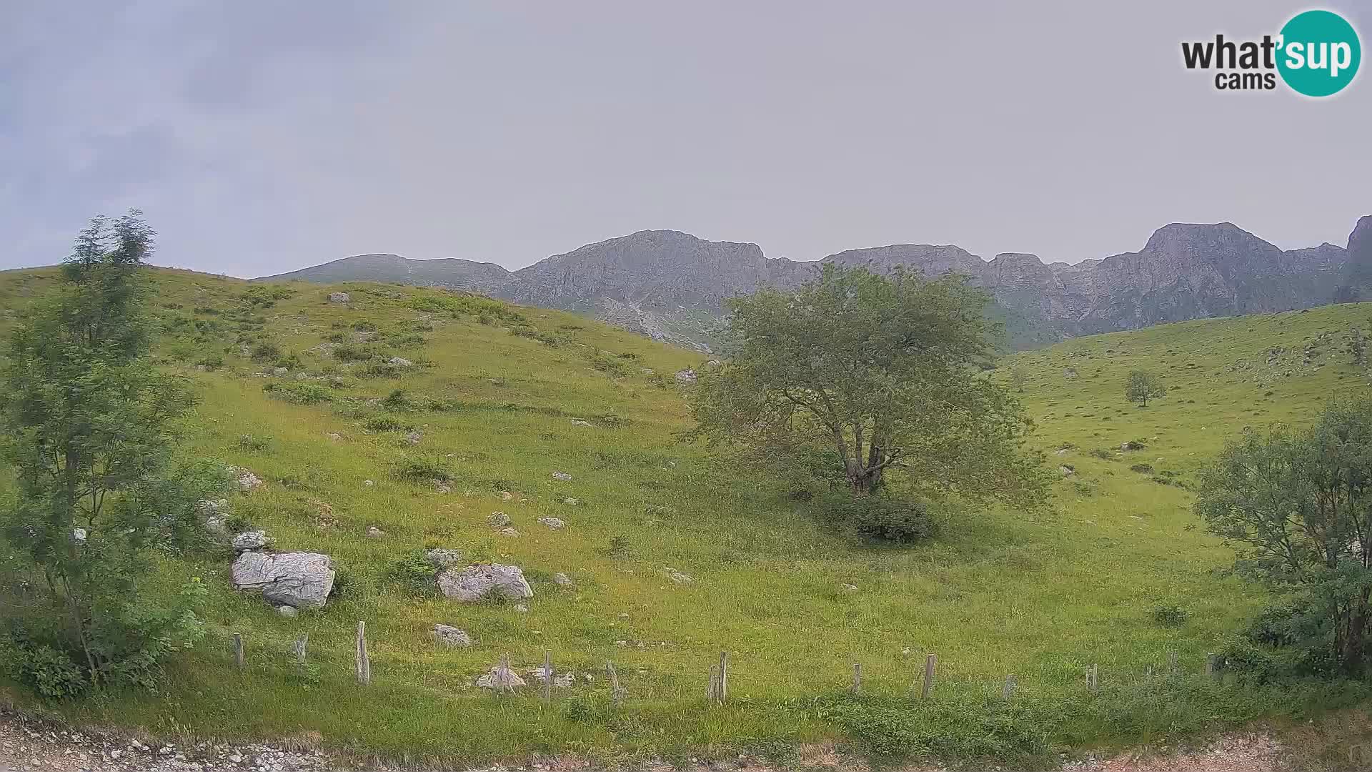 Livecam Planina Kuhinja – KRN- Kobarid – Slovénie
