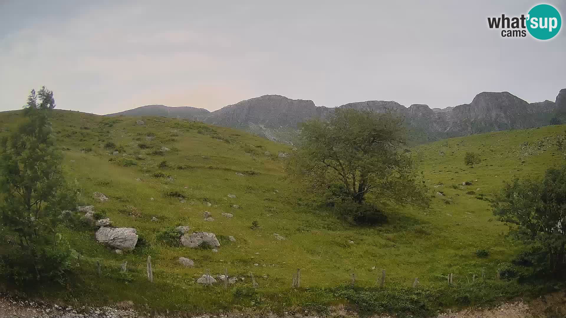 Webcam Planina Kuhinja – KRN – Kobarid – Slowenien