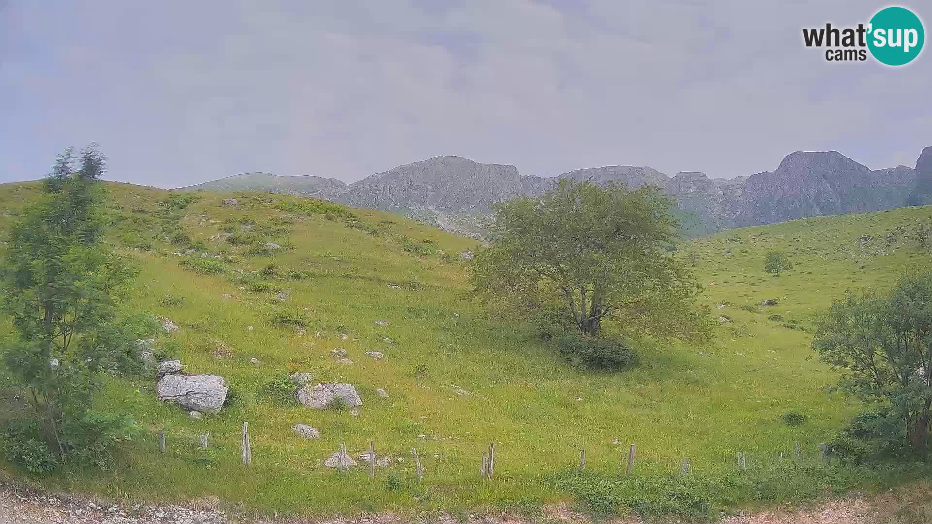 Cámara en Vivo de Planina Kuhinja – KRN – Kobarid – Eslovenia