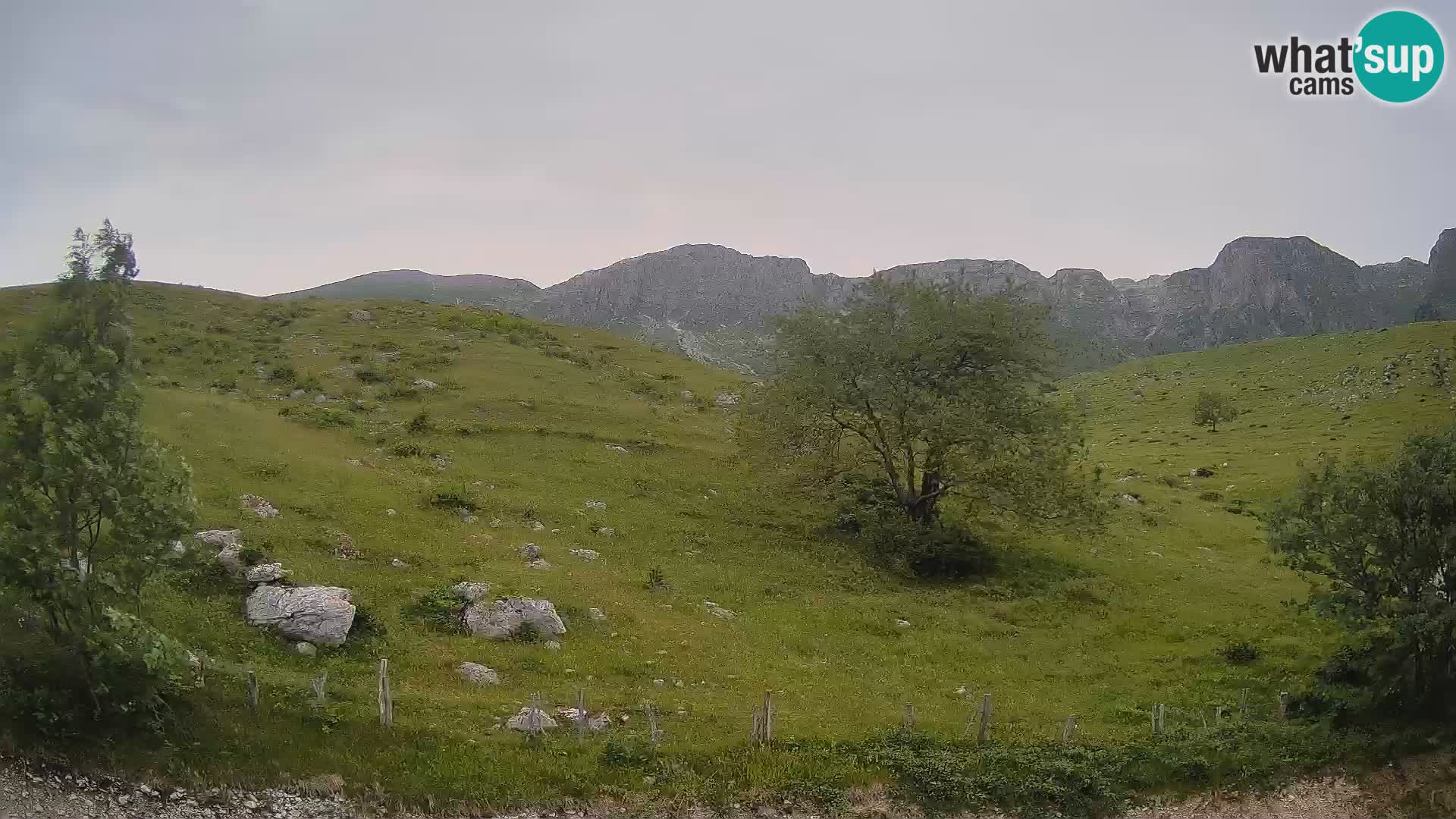 Webcam Krn – Planina Kuhinja ( Plateau Kuhinja ) – Kobarid – Slovenia