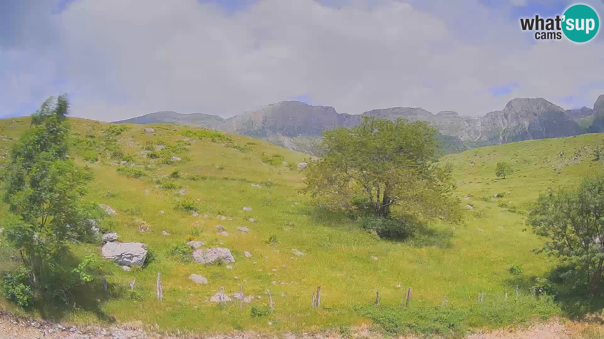 Cámara en Vivo de Planina Kuhinja – KRN – Kobarid – Eslovenia
