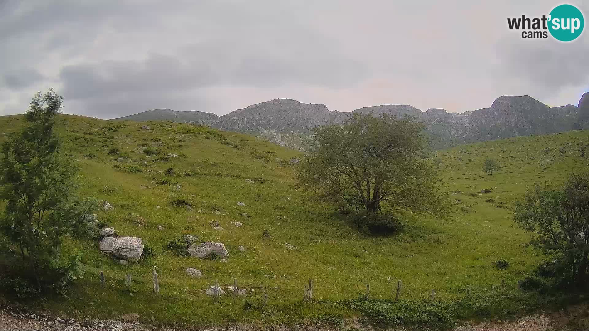 Web kamera Planina Kuhinja – KRN – Kobarid – Slovenija
