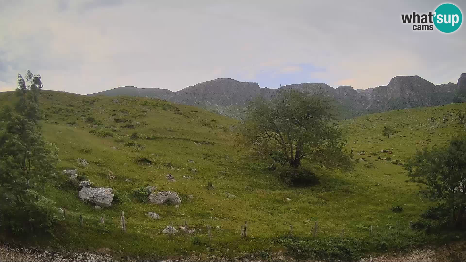 Web kamera Planina Kuhinja – KRN – Kobarid – Slovenija