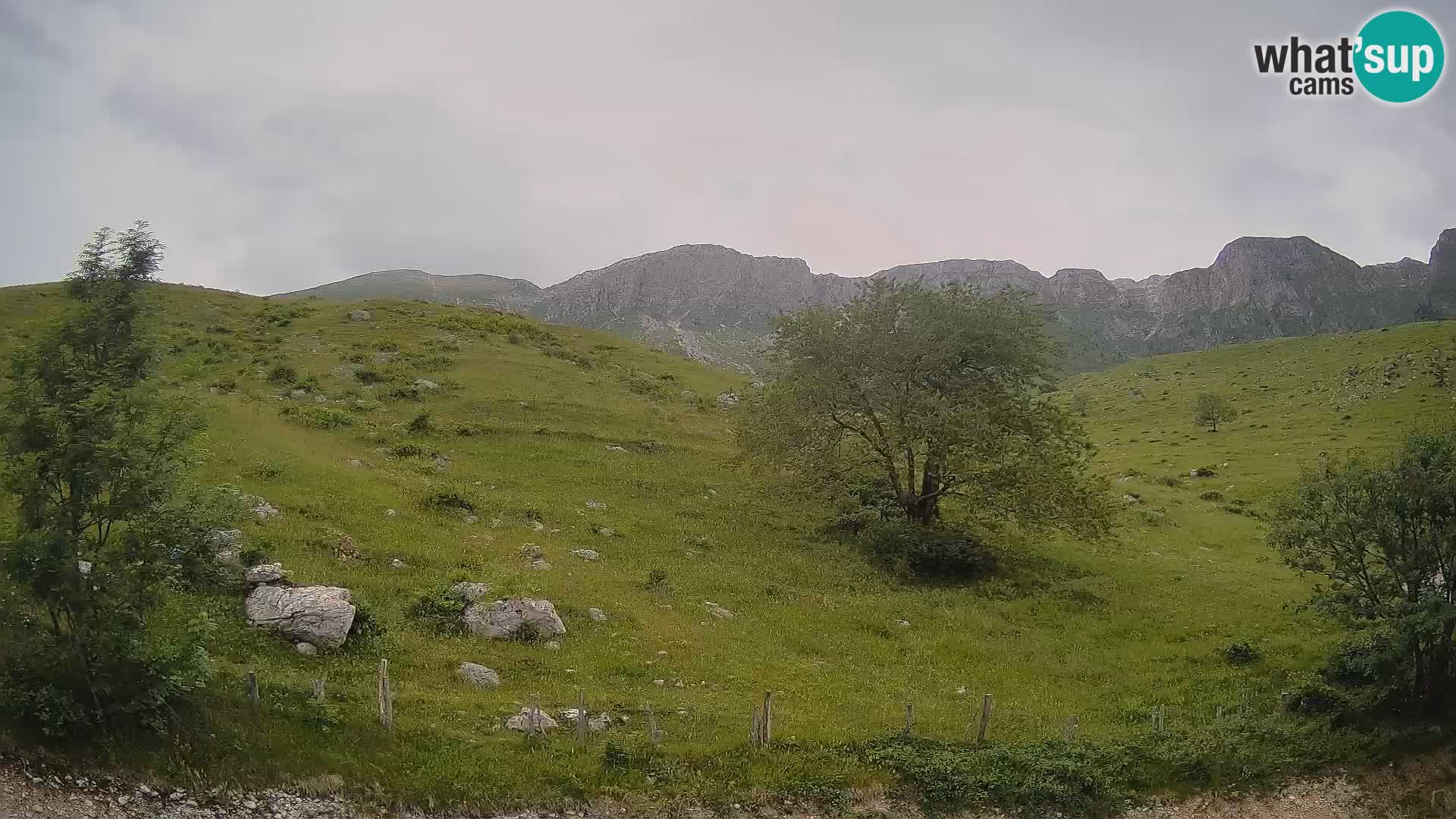 Web kamera Planina Kuhinja – KRN – Kobarid – Slovenija