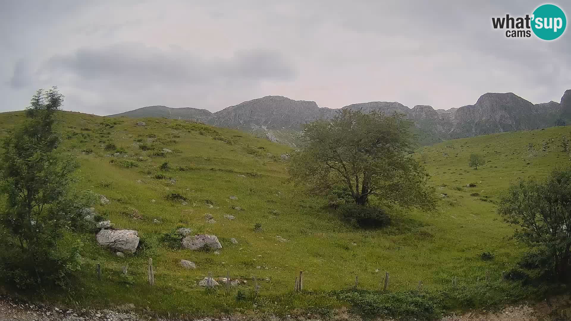 Web kamera Planina Kuhinja – KRN – Kobarid – Slovenija