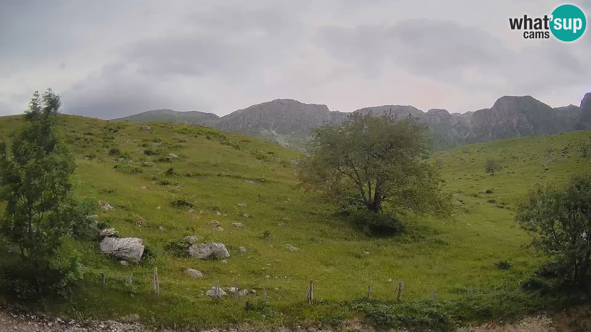 Web kamera Planina Kuhinja – KRN – Kobarid – Slovenija