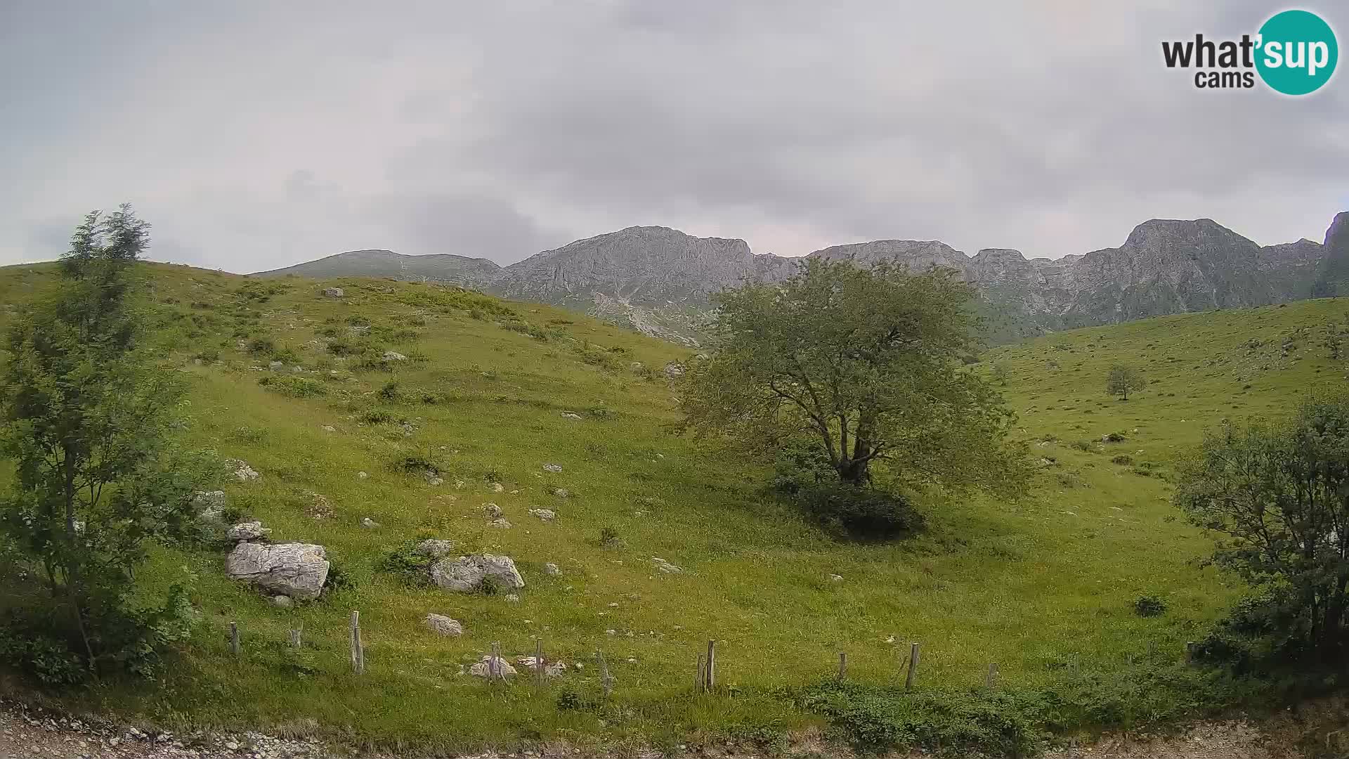 Live cam Planina Kuhinja – Monte Nero ( Krn ) – Caporetto – Slovenia