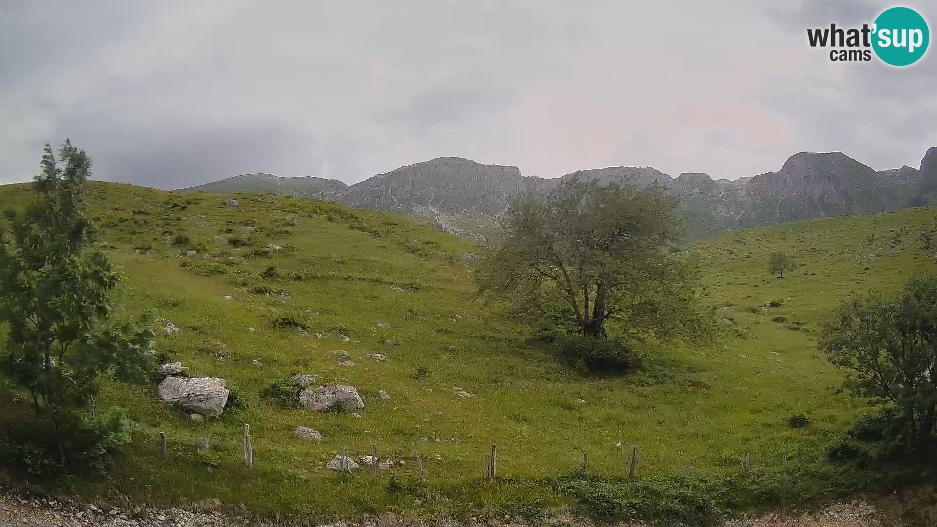 Cámara en Vivo de Planina Kuhinja – KRN – Kobarid – Eslovenia