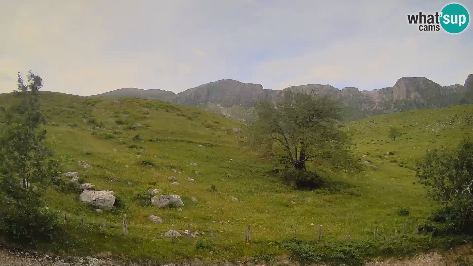 Spletna kamera Planina Kuhinja – KRN – Kobarid