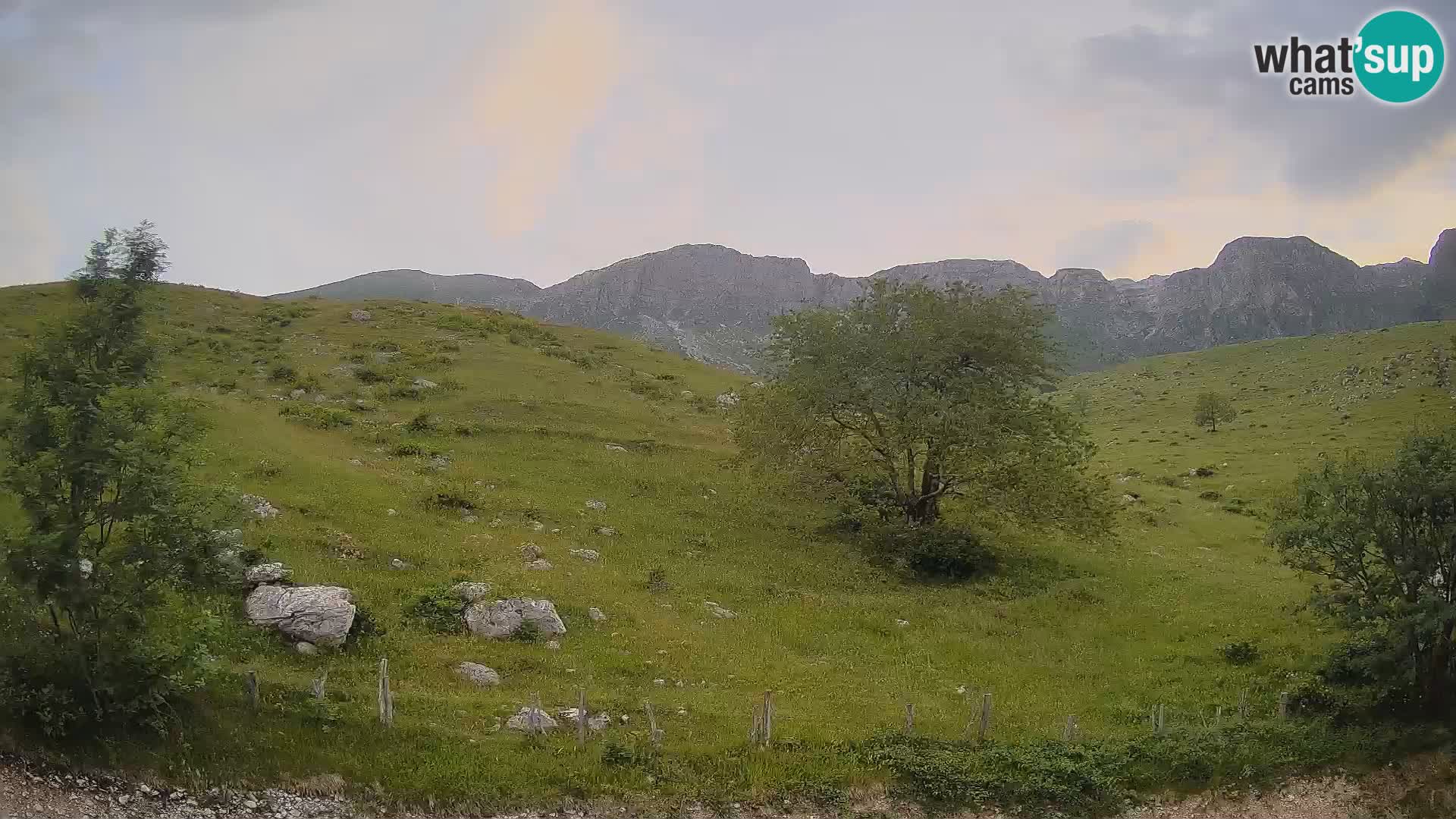 Cámara en Vivo de Planina Kuhinja – KRN – Kobarid – Eslovenia