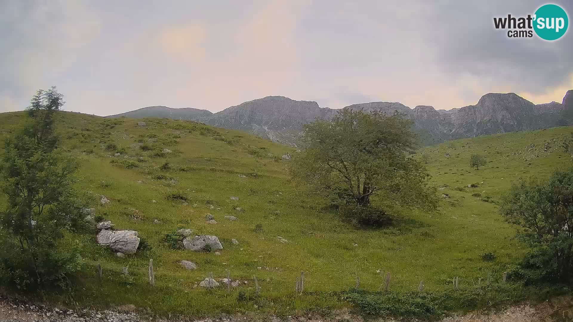 Cámara en Vivo de Planina Kuhinja – KRN – Kobarid – Eslovenia