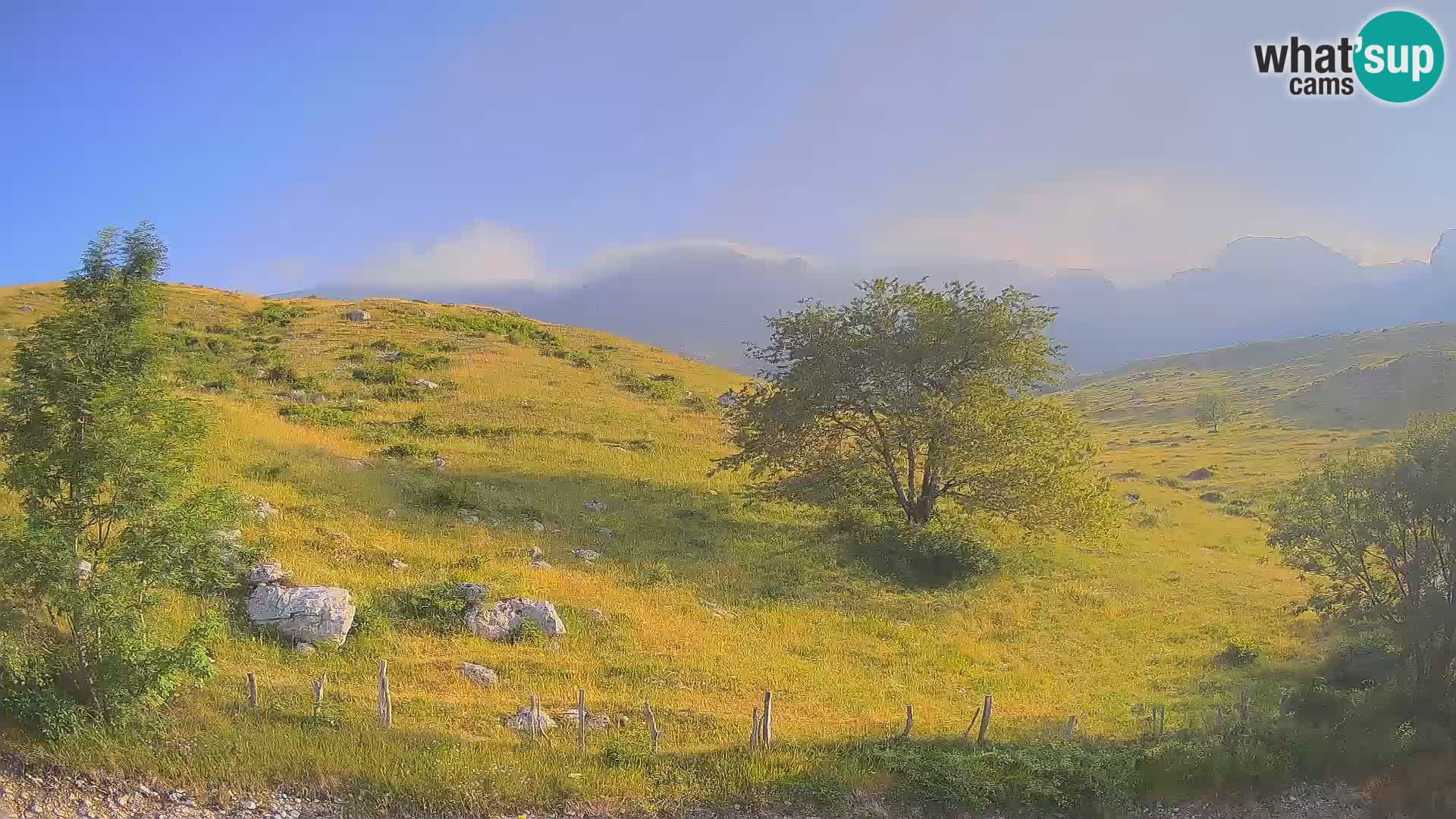 Cámara en Vivo de Planina Kuhinja – KRN – Kobarid – Eslovenia