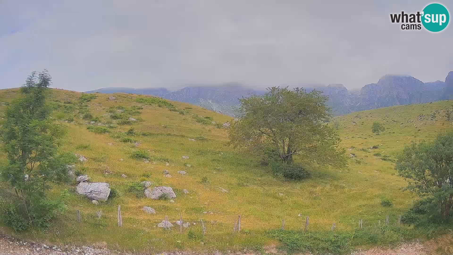 Webcam Krn – Planina Kuhinja ( Plateau Kuhinja ) – Kobarid – Slovenia