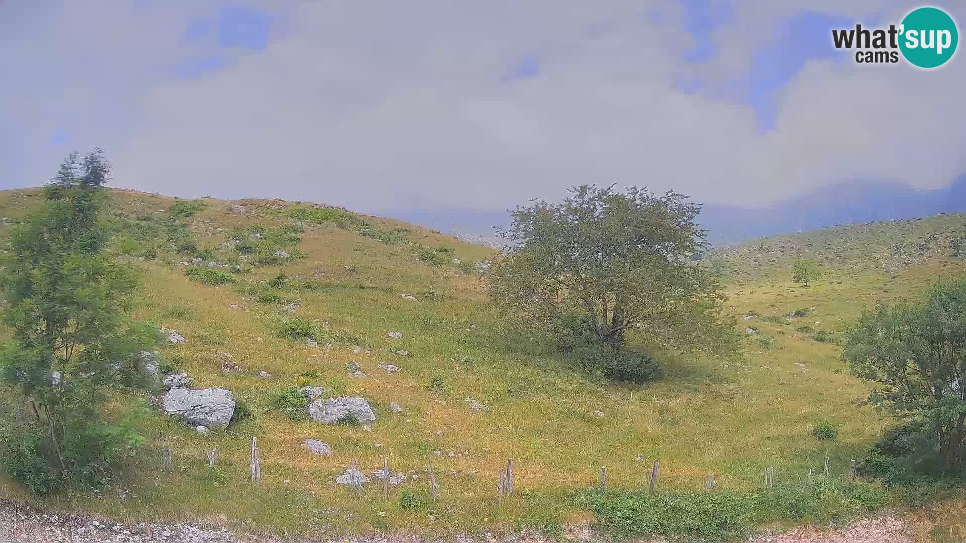 Webcam Krn – Planina Kuhinja ( Plateau Kuhinja ) – Kobarid – Slovenia