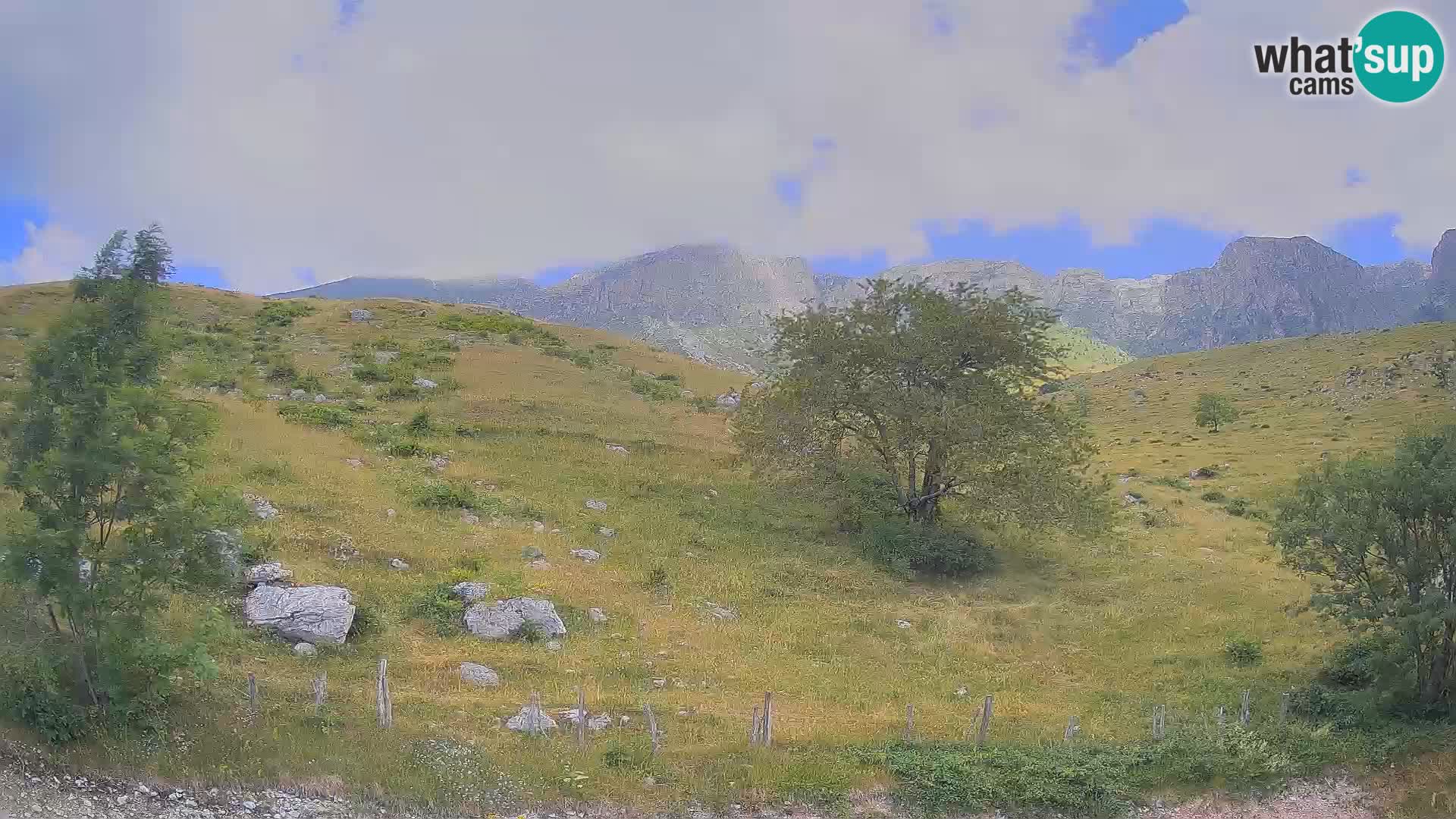 Webcam Krn – Planina Kuhinja ( Plateau Kuhinja ) – Kobarid – Slovenia