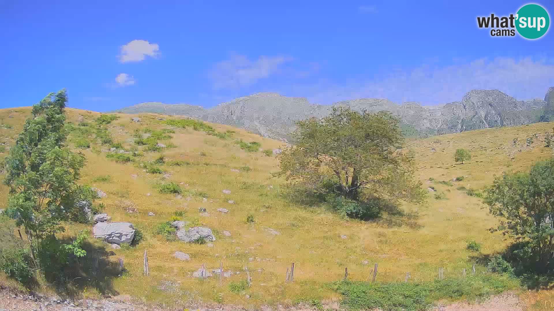 Cámara en Vivo de Planina Kuhinja – KRN – Kobarid – Eslovenia