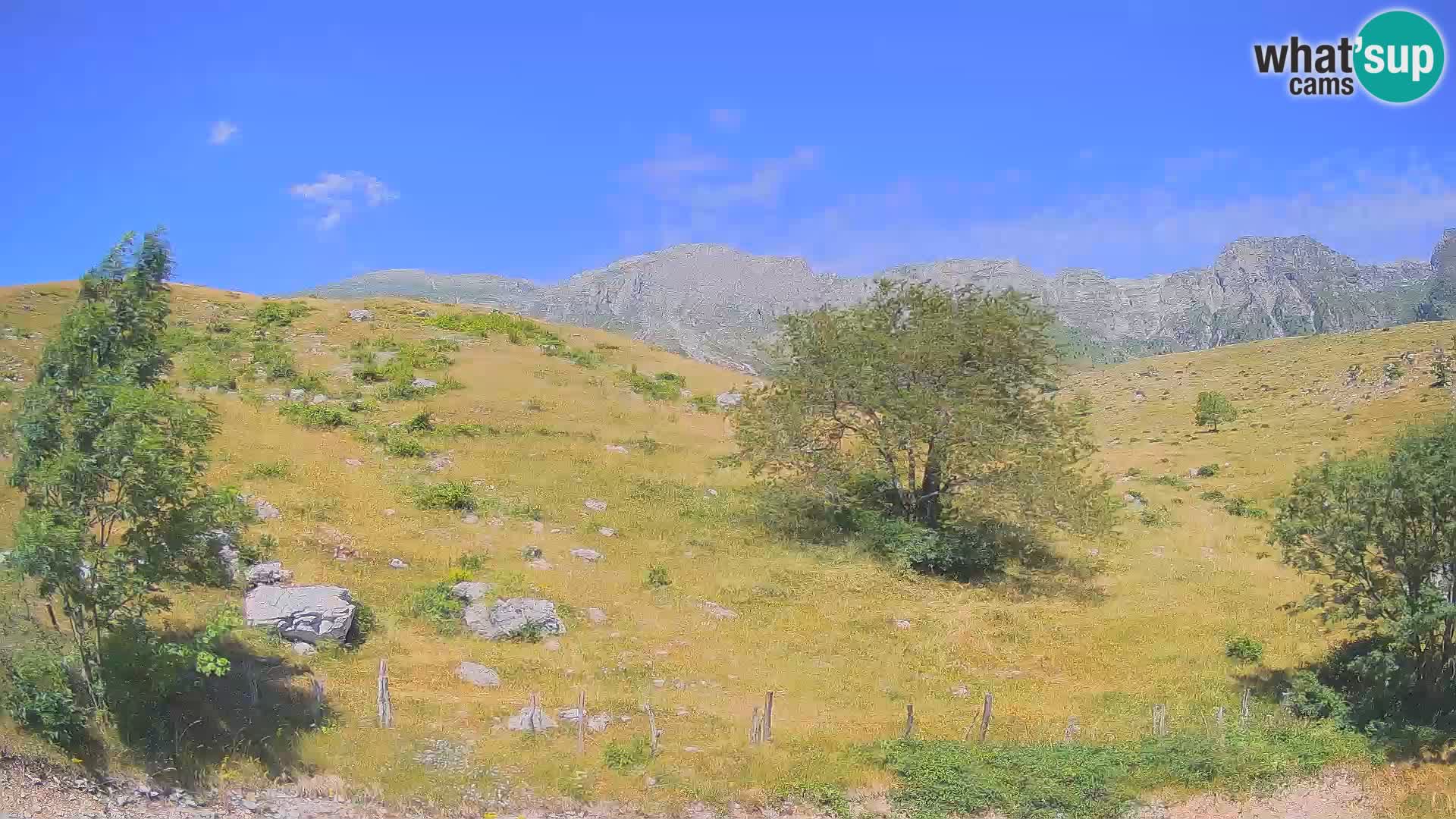 Cámara en Vivo de Planina Kuhinja – KRN – Kobarid – Eslovenia