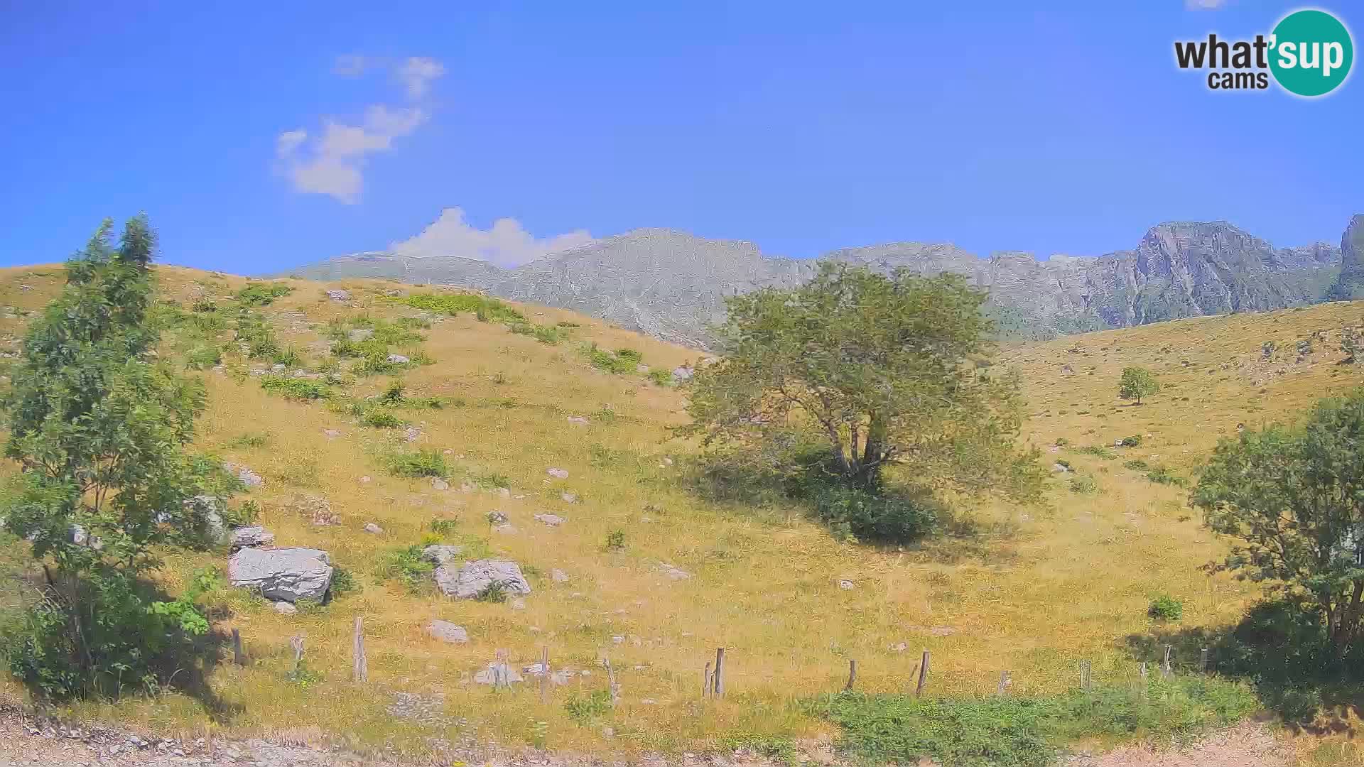 Webcam Krn – Planina Kuhinja ( Plateau Kuhinja ) – Kobarid – Slovenia