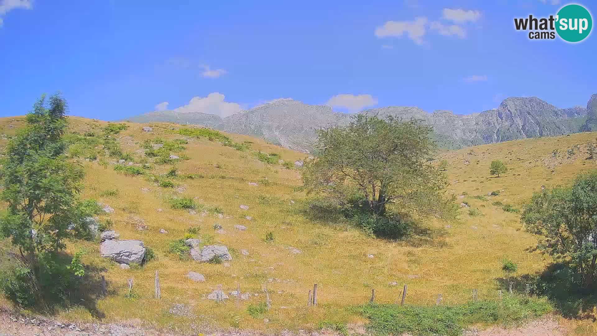 Cámara en Vivo de Planina Kuhinja – KRN – Kobarid – Eslovenia