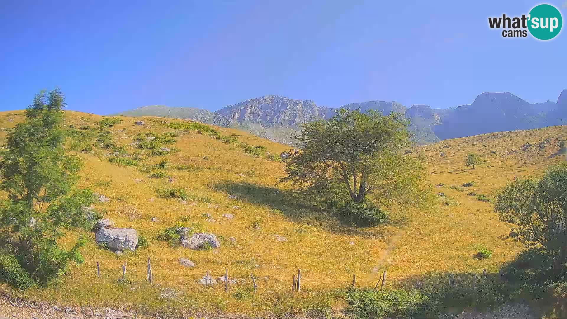 Spletna kamera Planina Kuhinja – KRN – Kobarid