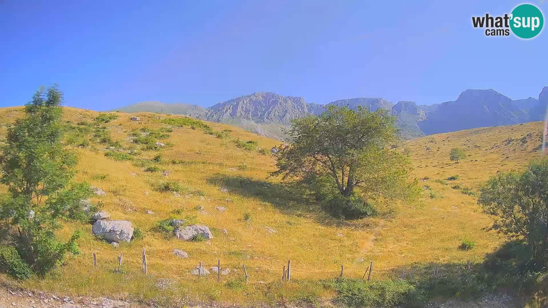Webcam Krn – Planina Kuhinja ( Plateau Kuhinja ) – Kobarid – Slovenia