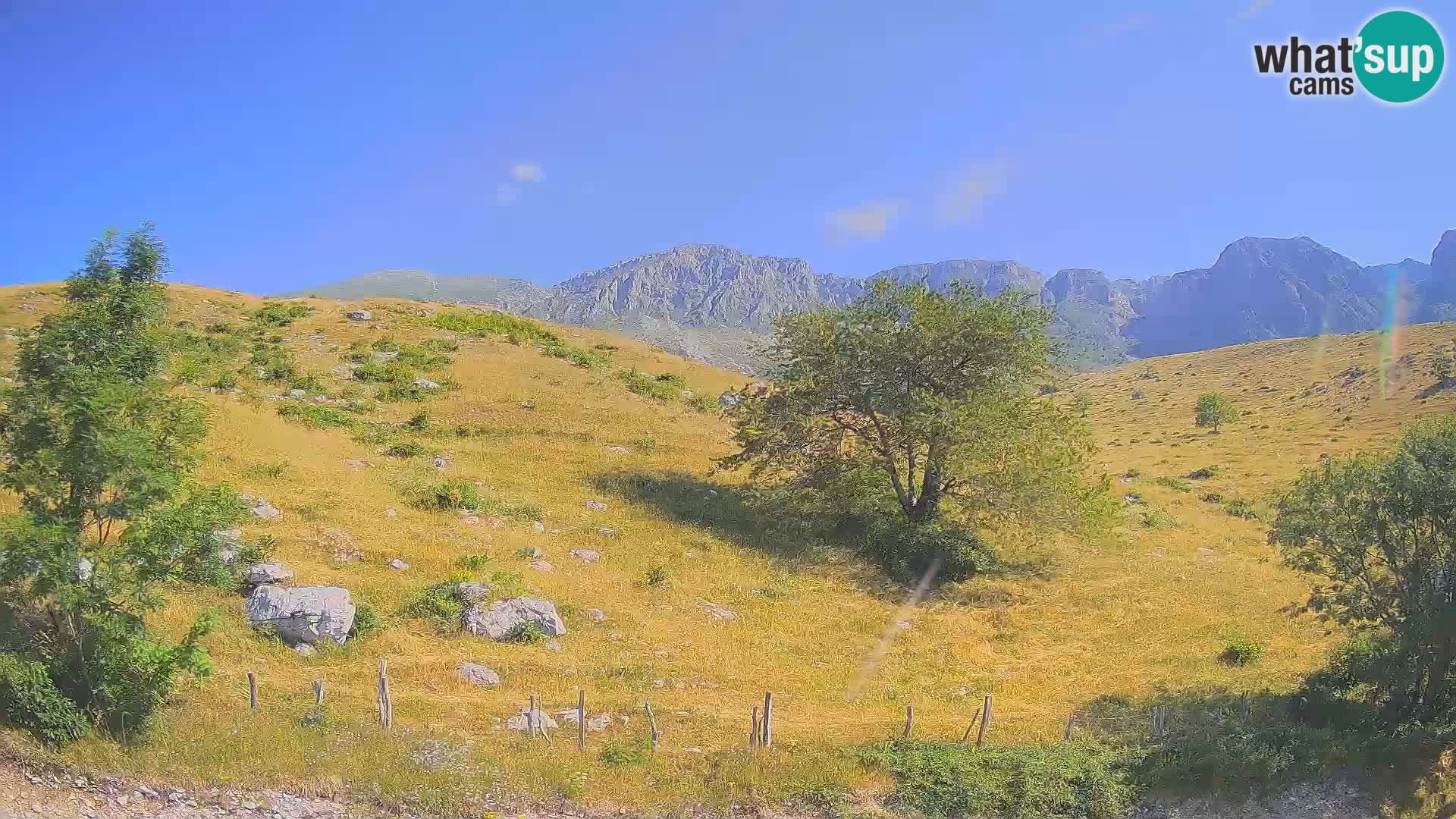 Cámara en Vivo de Planina Kuhinja – KRN – Kobarid – Eslovenia