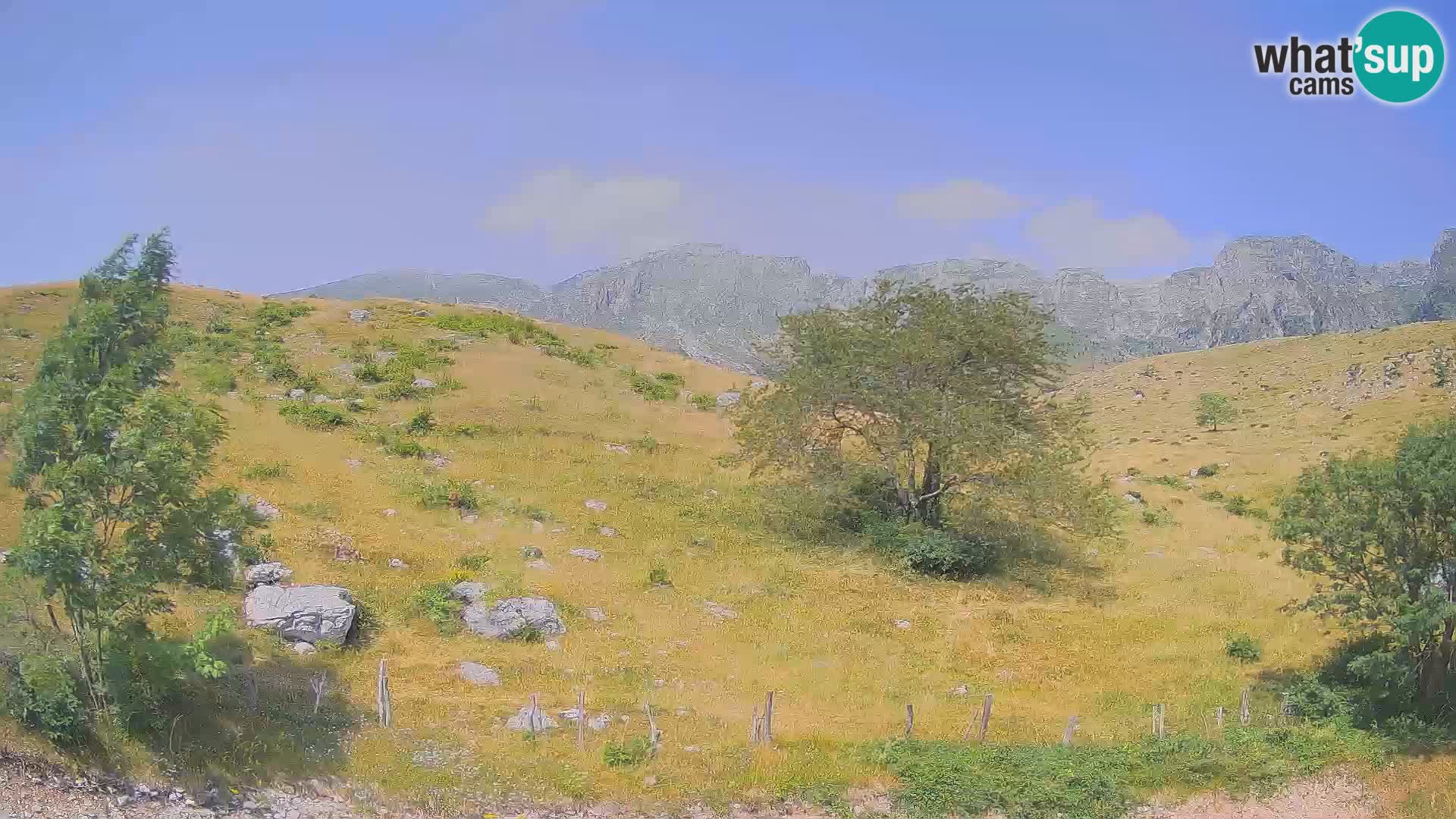 Cámara en Vivo de Planina Kuhinja – KRN – Kobarid – Eslovenia