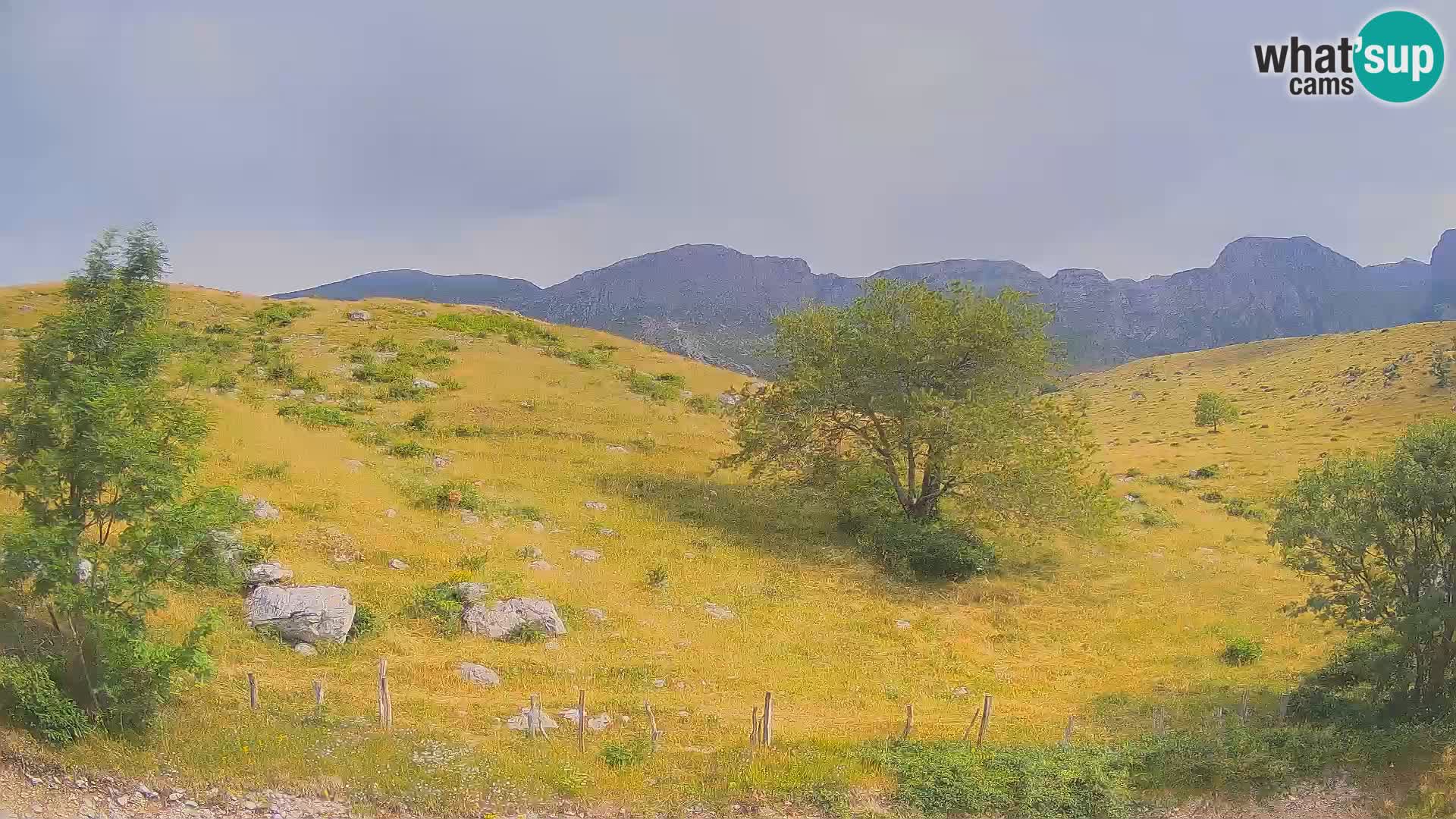 Webcam Krn – Planina Kuhinja ( Plateau Kuhinja ) – Kobarid – Slovenia