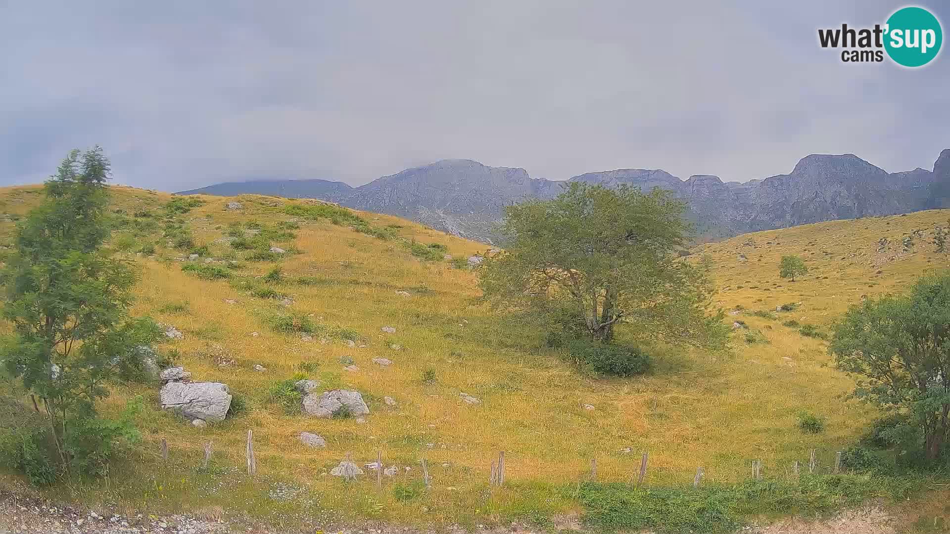 Cámara en Vivo de Planina Kuhinja – KRN – Kobarid – Eslovenia