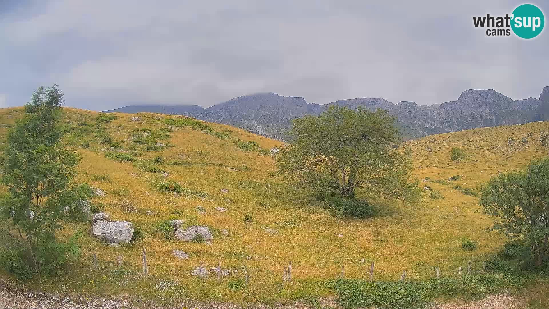 Webcam Planina Kuhinja – KRN – Kobarid – Slowenien