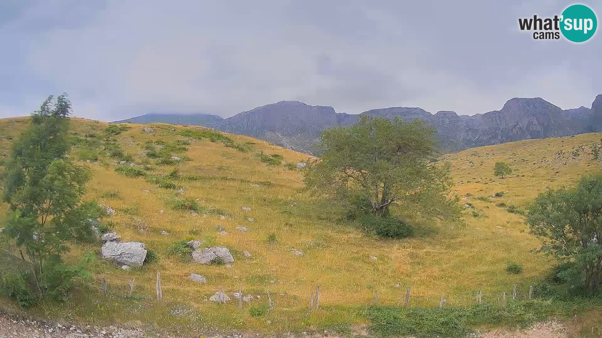 Web kamera Planina Kuhinja – KRN – Kobarid – Slovenija