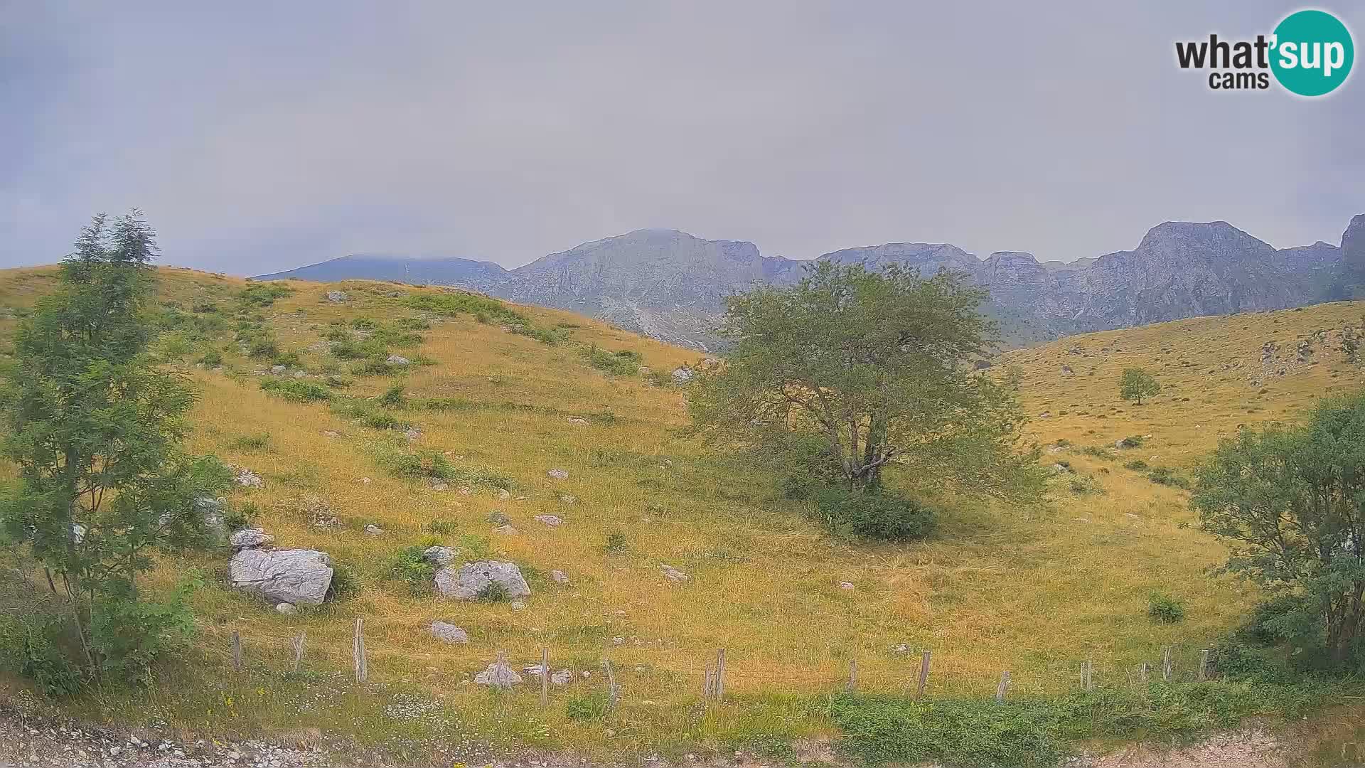 Cámara en Vivo de Planina Kuhinja – KRN – Kobarid – Eslovenia