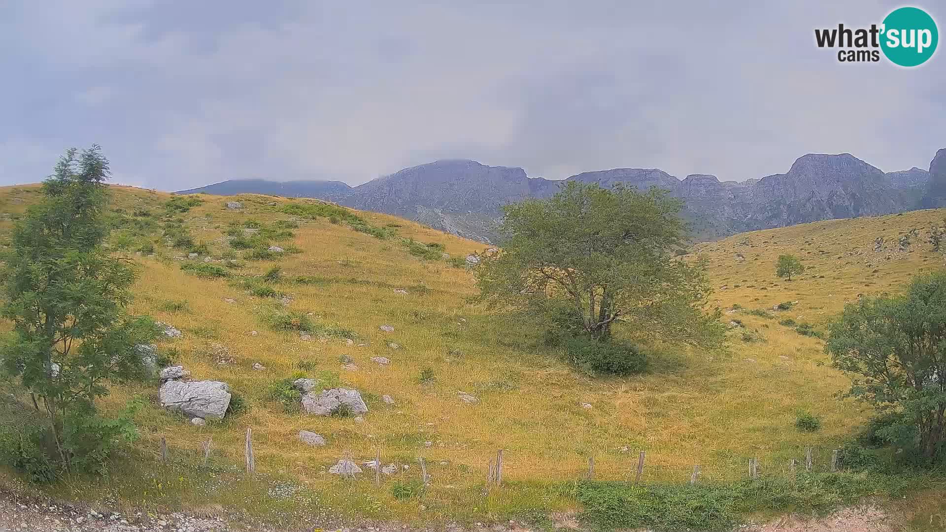 Live cam Planina Kuhinja – Monte Nero ( Krn ) – Caporetto – Slovenia
